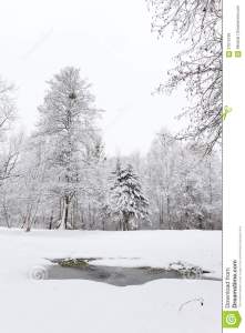 aufgetauter-flecken-im-schnee-winterlandschaften-37015189